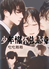 少年情怀总是诗的小说